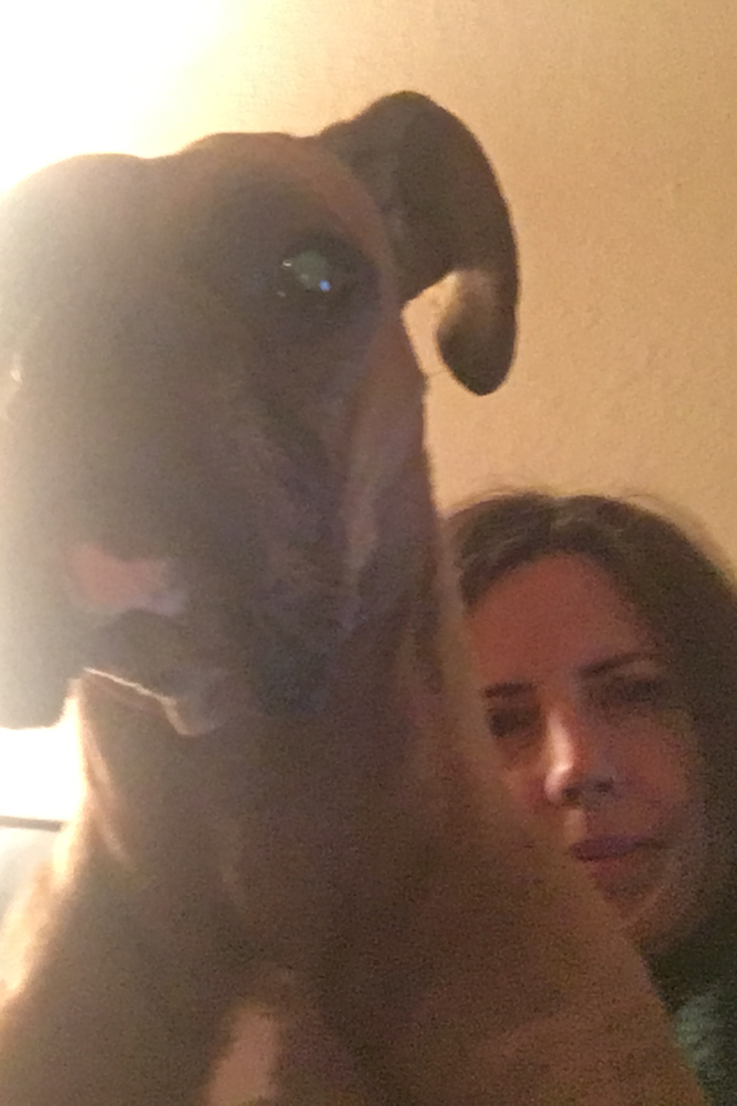 cxvl_sasha